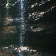 Moore's Cove Falls